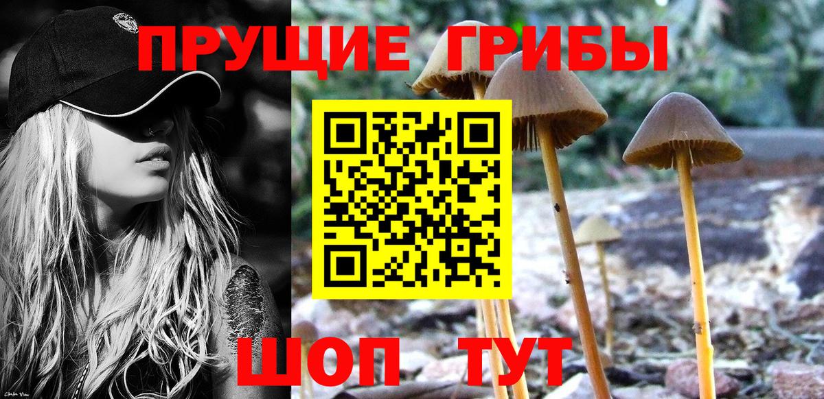 Псилоцибиновые грибы Magic Shrooms  цена   Воткинск  Вход с VPN 